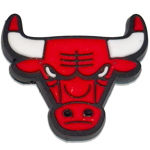 Chicago Bulls Basketball : Shoe Charm