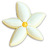 Tropical Blossom Flower Shoe Charm