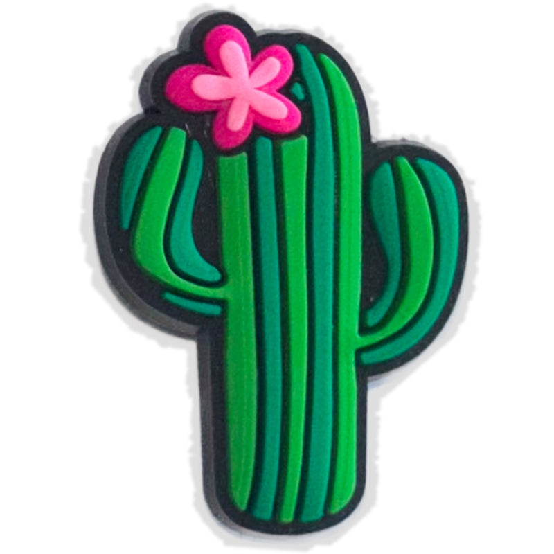Cactus Kick: Quirky Shoe Charm for Desert Chic🌵🌵 - Questsole